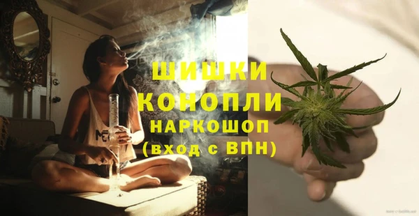 круглые Осинники