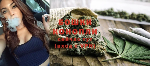 круглые Осинники