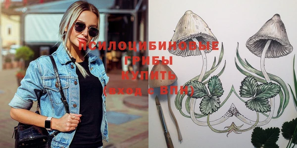 круглые Осинники
